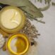 Cura Ayurveda Day