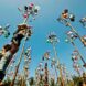Asian Games weather switch