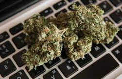 Overcoming Hurdles While Buying Weed Online