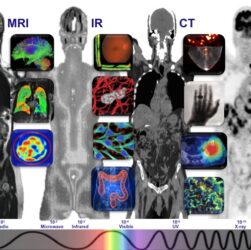 molecular machines visualization