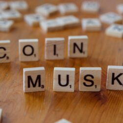 Musk business politics