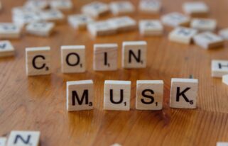 Musk business politics
