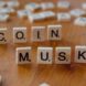 Musk business politics