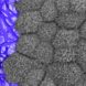 retinal imaging AI