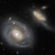 rogue black holes