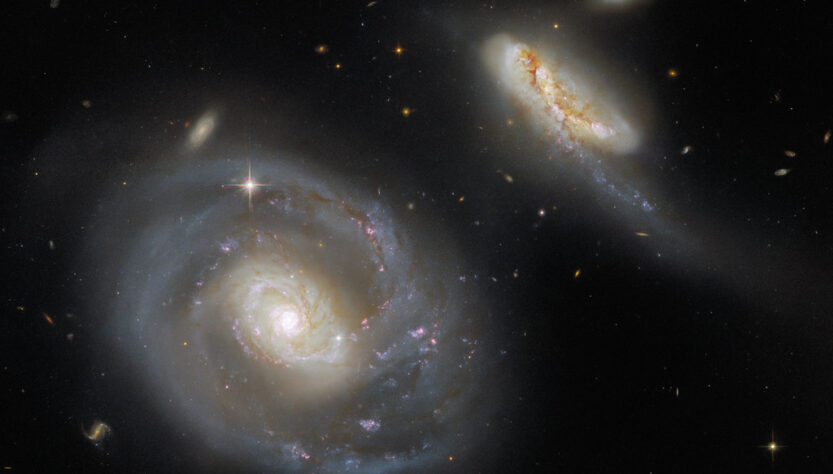rogue black holes