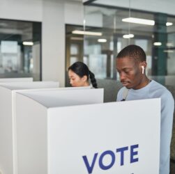 voter deletions audit