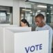 voter deletions audit