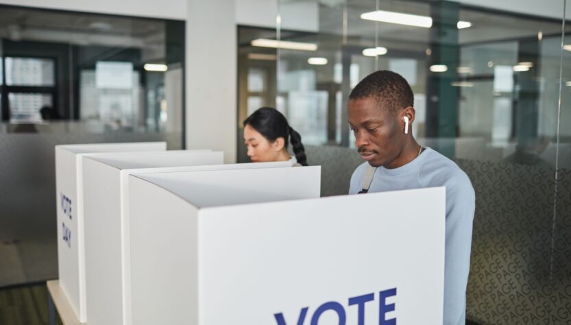 voter deletions audit